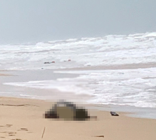 Một trong những thi thể trôi dạt vào bờ biển Phú Quốc.