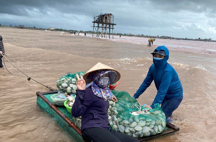 Ảnh hưởng bão Noru, hàng trăm tấn ngao dạt vào bờ biển, người dân rủ nhau đi vớt - 4