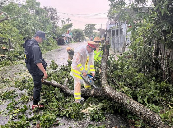 Những “công nhân môi trường” đặc biệt sau bão Noru - 1