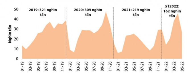 Khối lượng xuất khẩu cá tra của Việt Nam sang Trung Quốc (nguồn: Undercurrent news, VDSC)