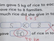 Giáo dục - du học - Học sinh làm toán 5 x 8 = 40 bị gạch sai, cô giáo đưa ra đáp án gây tranh cãi