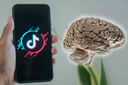 10 tác hại của TikTok mà ai cũng phải suy ngẫm