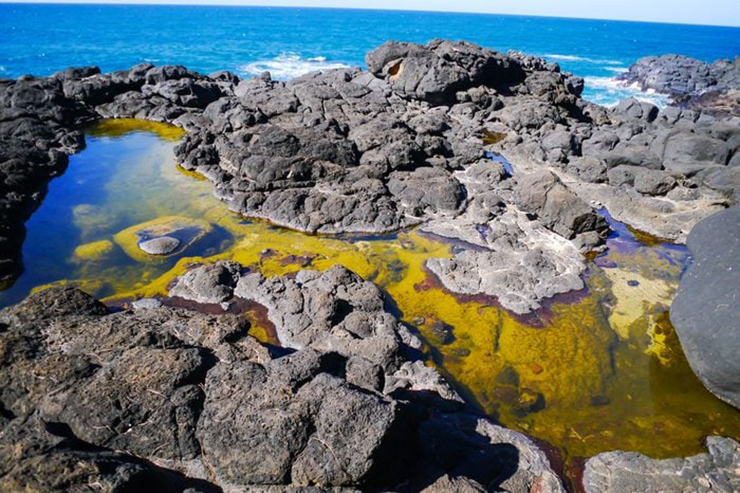 Queen's Bath là một điểm thu hút mùa hè yêu thích ở Kauai, Hawaii. Nước mặn ngọt từ Thái Bình Dương tràn qua những tảng đá nham thạch để tạo thành một hồ thủy triều tự nhiên tuyệt đẹp.

​
