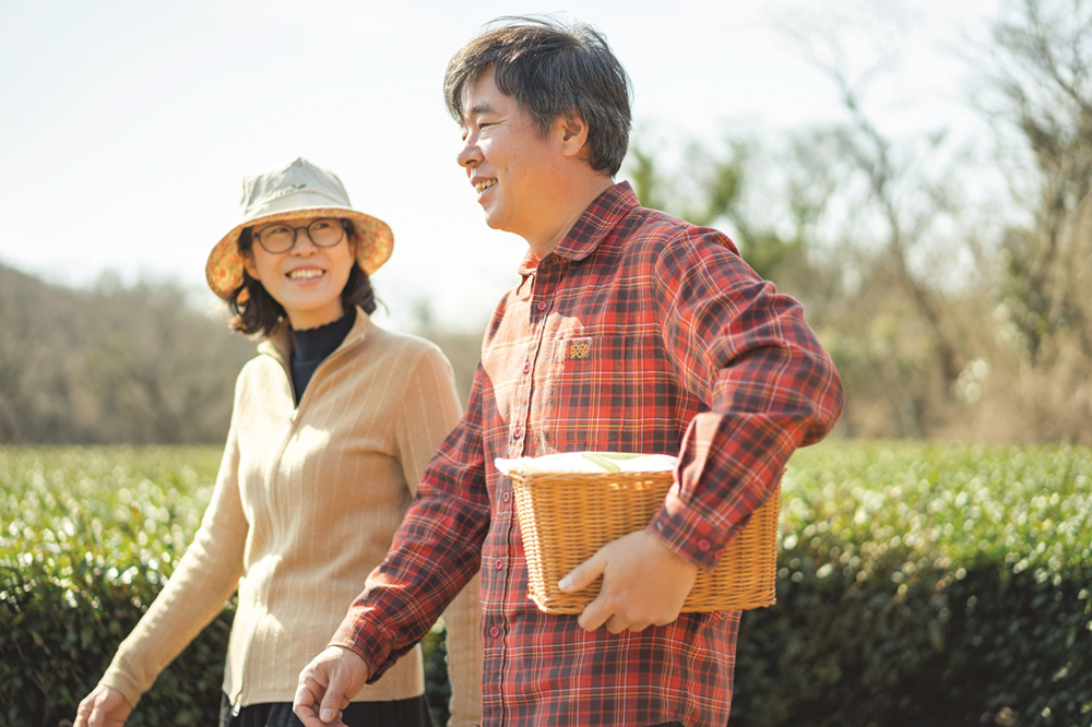 Ortea là nơi du khách có thể tìm hiểu sâu về trà ở đảo Jeju