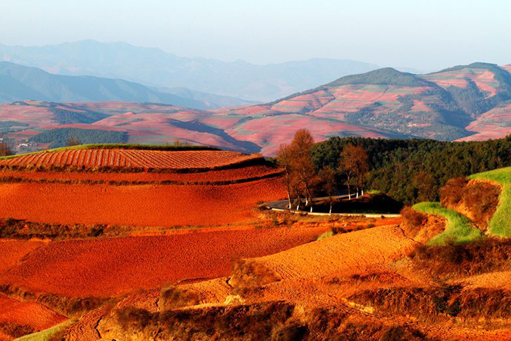 Vùng đất đỏ Dongchuan gần Côn Minh, tỉnh Vân Nam, miền nam Trung Quốc&nbsp;được các du khách ba lô cũng như các nhiếp ảnh gia ca ngợi là “bảng màu của Chúa”. Màu đỏ là do sắt lắng đọng trong đất và có thể nhìn thấy quanh năm, nổi bật vào mùa hè với các loại hoa và lúa mì vàng. Những tảng đá đỏ rực rỡ của Trung Quốc là một trong những kỳ quan thiên nhiên đầy màu sắc nhất trên Trái đất.
