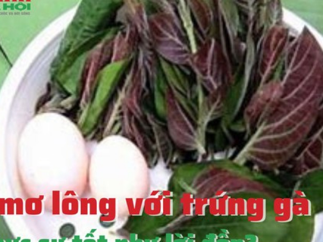 Ăn mơ lông với trứng gà có thực sự tốt như lời đồn?