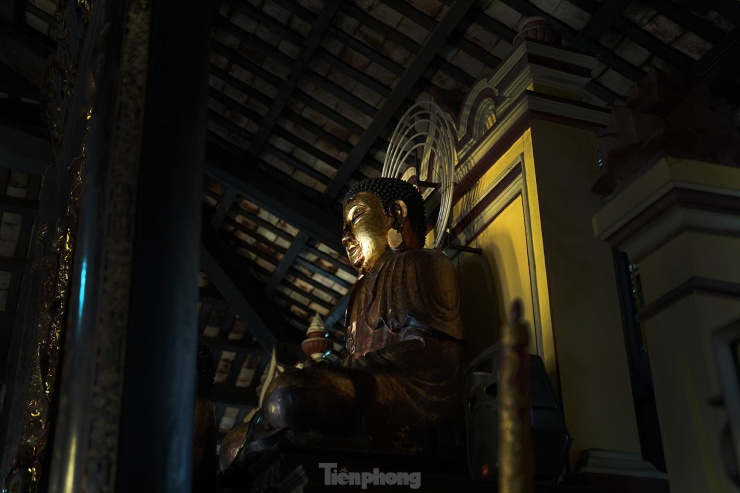 Độc đáo các pho tượng dát vàng trong ngôi chùa gần 300 tuổi ở TPHCM - 16