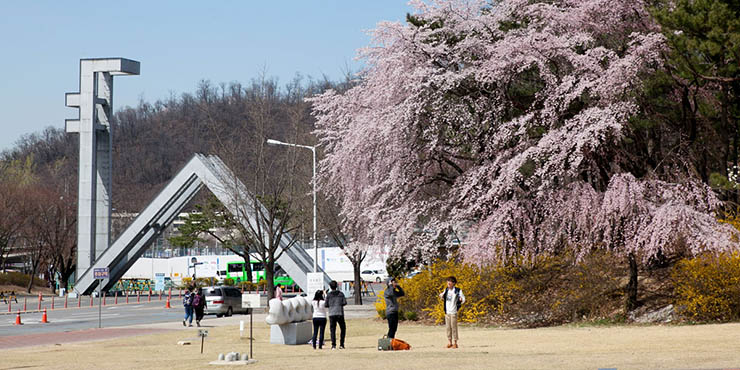 Đại học Quốc gia Seoul đã sản sinh ra nhiều cựu sinh viên nổi tiếng và có ảnh hưởng trong nhiều lĩnh vực khác nhau như Ban Ki-moon - Tổng thư ký Liên Hiệp Quốc thứ 8, Lee Myung-bak - Tổng thống Hàn Quốc thứ 17, Lee Kun-hee - Chủ tịch Tập đoàn Samsung.
