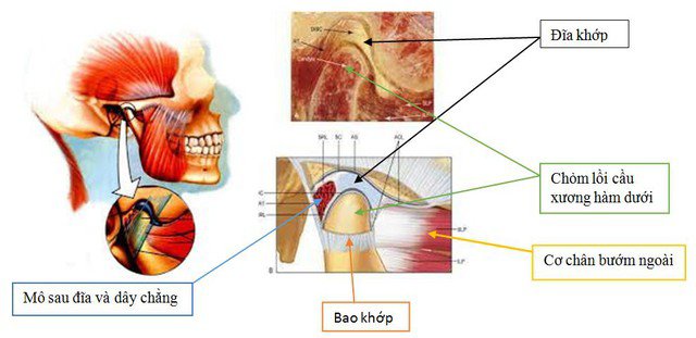 Kasim Hoàng Vũ lên tiếng khi xuất hiện với gương mặt lạ, căn bệnh Quán quân Sao Mai điểm hẹn mắc phải nguy hiểm thế nào? - 3