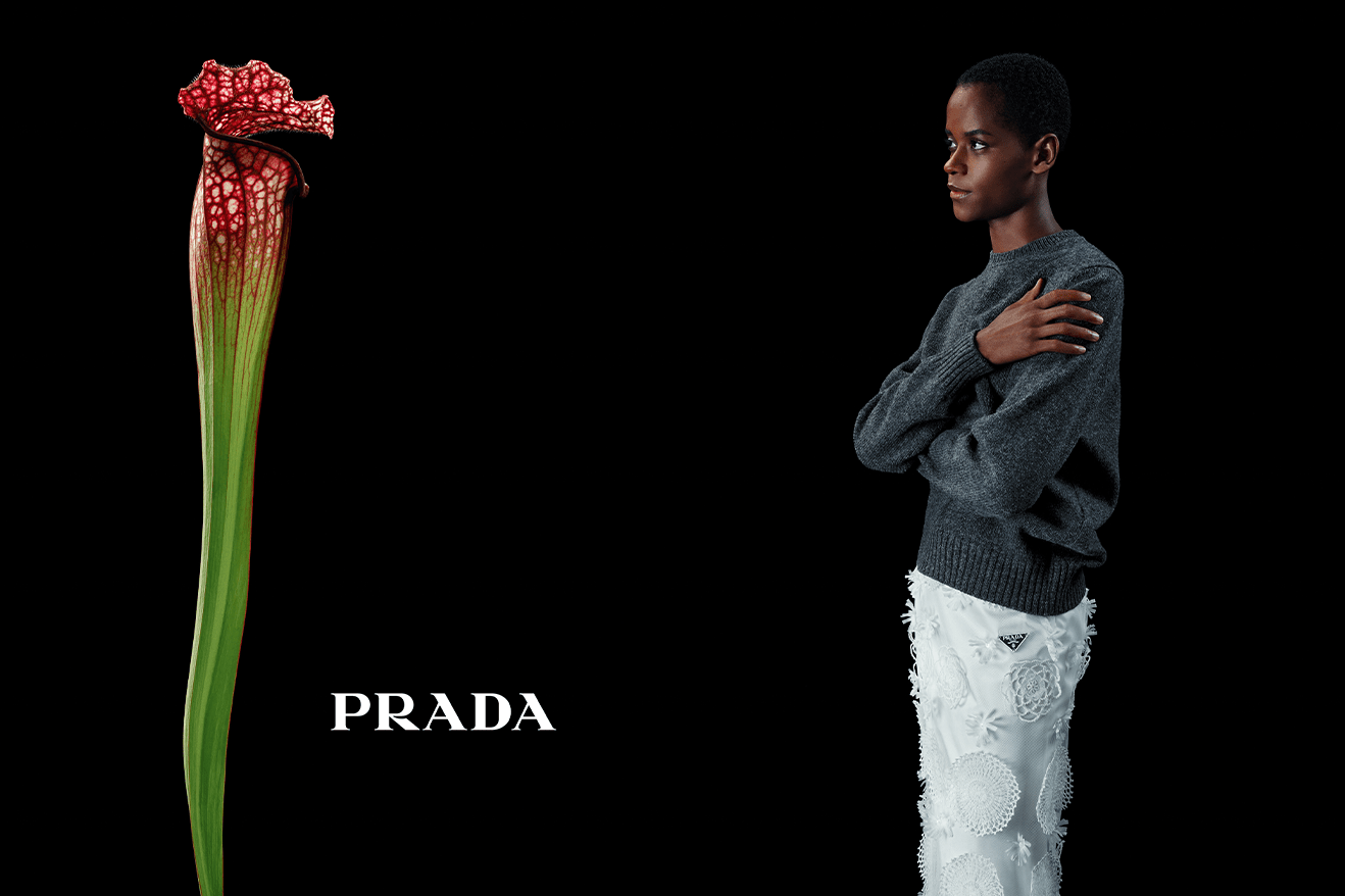 Ngây ngất với vẻ đẹp chiến dịch hoa nở rộ của Prada - 2