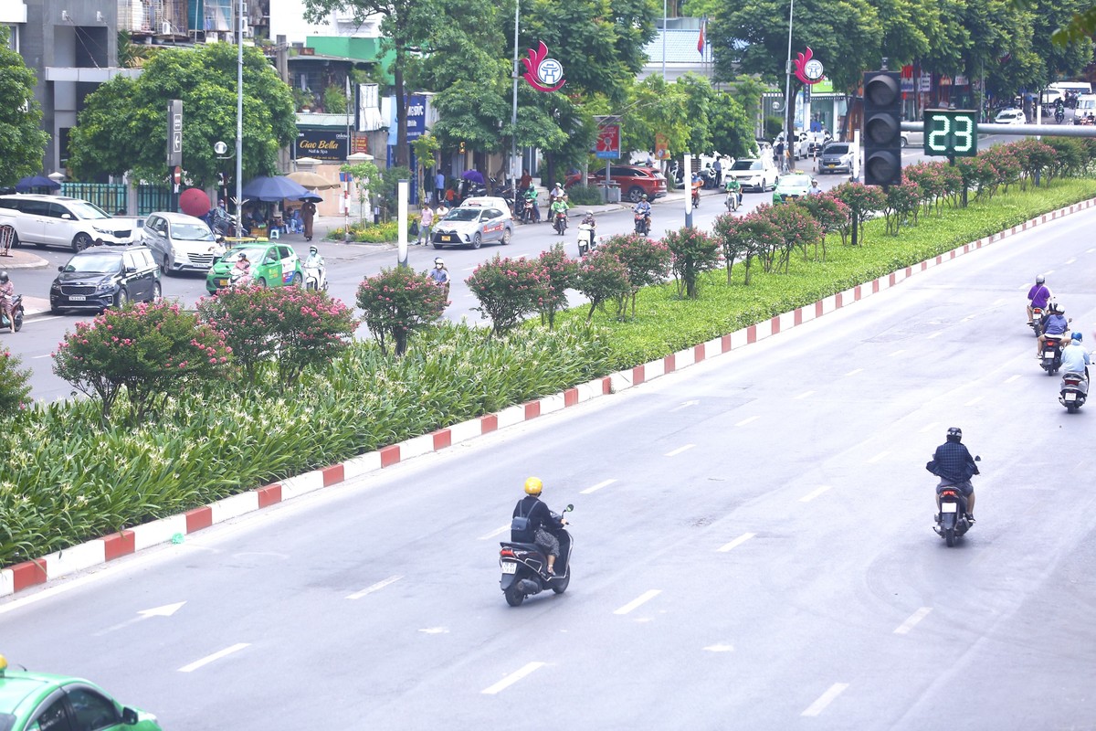 Đây là nơi từng được trồng hàng phong lá đỏ, tuy nhiên lại không được như kỳ vọng.