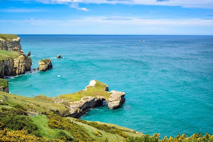 Dunedin, New Zealand: Đây là thành phố lâu đời nhất của New Zealand đang tạo được dấu ấn nhờ phong cảnh ấn tượng và&nbsp;động vật hoang dã độc đáo. Thiên đường của những người yêu động vật này là nơi sinh sống của loài chim cánh cụt mắt vàng quý hiếm và&nbsp;hải cẩu lông.
