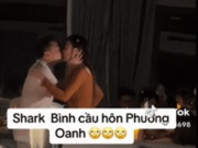 Đời sống Showbiz - Video Shark Bình quỳ gối cầu hôn Phương Oanh “gây bão” mạng xã hội