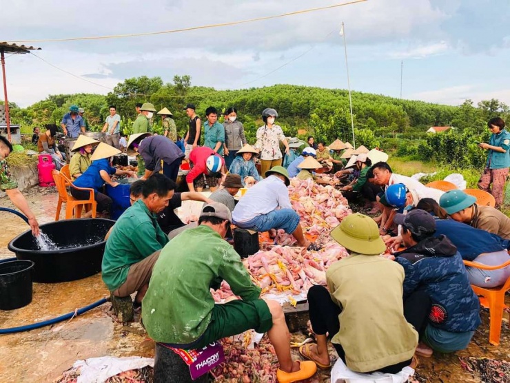 Hà Tĩnh: Hàng trăm người tham gia giải cứu 8.000 con gà chết ngạt - 4