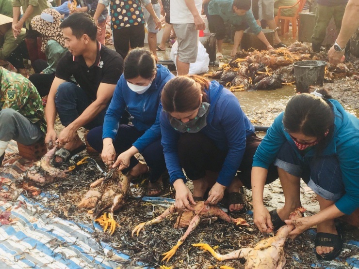 Bà con hàng xóm, các lực lượng đoàn thể tình nguyện đến hỗ trợ làm thịt để bán giúp gia đình anh Phố số gà bị chết ngạt.