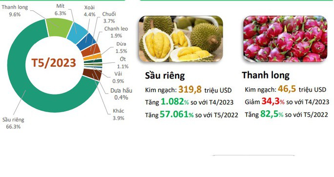 Cơ cấu rau quả xuất khẩu sang Trung Quốc tháng 5-2023 - Nguồn Viện Chính sách và Chiến lược phát triển nông nghiệp nông thôn (IPSARD)