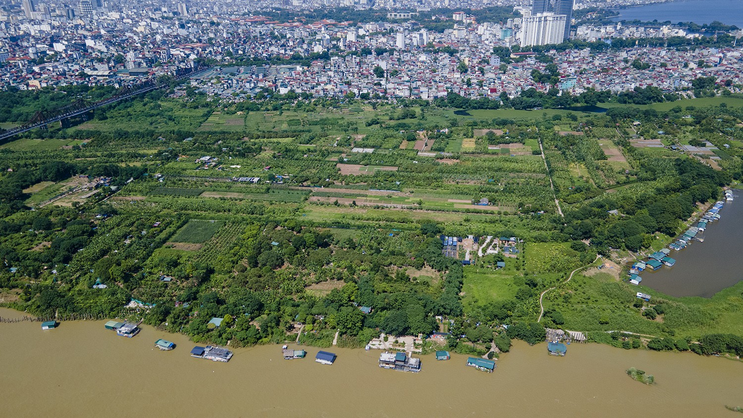 Ngắm vẻ đẹp hoang sơ của bãi giữa sông Hồng, nơi sẽ trở thành công viên văn hóa đa năng - 12