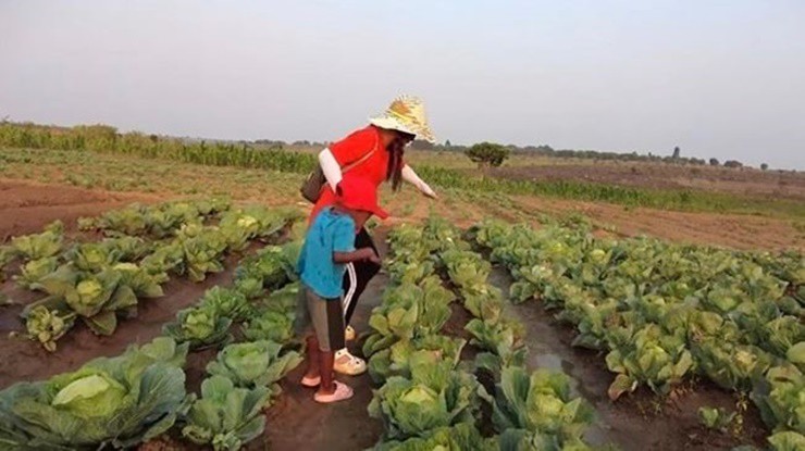 Anh đang thực hiện dự án chăn nuôi lớn sau khi tuyển chuyên gia từ Việt Nam sang.
