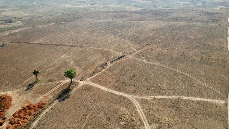 Tháng 4/2022, Quang Linh Vlog chính thức mua khu đất rộng ở Angola để làm trang trại. Sau hơn 1 năm, anh chàng này đã chia sẻ hình ảnh hiện tại của trang trại.
