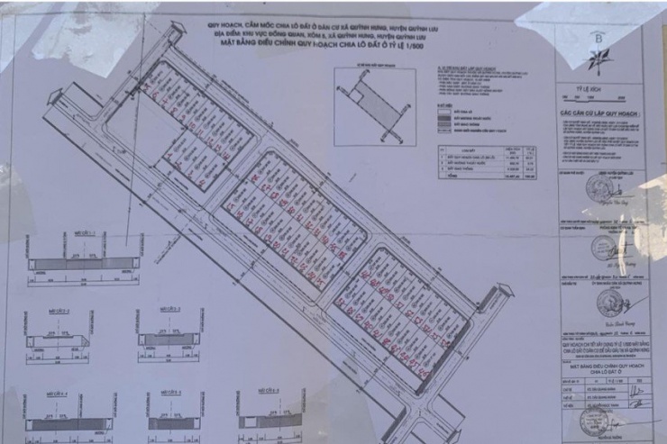 Ông Trọng trúng đấu giá 23/56 lô đất ở khu vực Đồng Quan, xã Quỳnh Hưng.