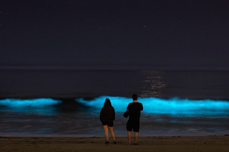 Bãi biển Hermosa, California: Du khách có thể quan sát hiện tượng phát quang sinh học vào ban đêm ngoài khơi bờ biển Hermosa Beach ở California.
