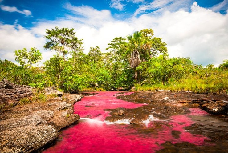 Dòng sông ngũ sắc (Caño Cristales) ở Vista Hermosa, Colombia: Được mệnh danh là “dòng sông đẹp nhất thế giới”, Caño Cristales có dòng nước 5 màu rất ấn tượng. Vào mùa khô và mùa mưa, sự hợp lưu của các hiện tượng tự nhiên khiến nước chuyển sắc màu. Một loài thực vật dưới đáy sông là nguyên nhân tạo ra màu đỏ tươi, trong khi cát và đá tạo nên màu vàng, xanh lá cây và đen hòa lẫn vào nhau.
