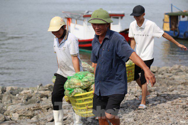 Người dân bắt đầu các hoạt động ứng phó với bão số 1. Ảnh Báo Tiền Phong