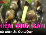 Ẩm thực - Ăn ốc luộc có bị nhiễm giun sán như lời đồn?