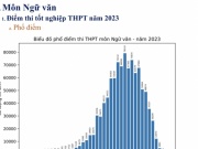 Giáo dục - du học - Chuyên gia nhận định thế nào về phổ điểm Kỳ thi tốt nghiệp THPT 2023?