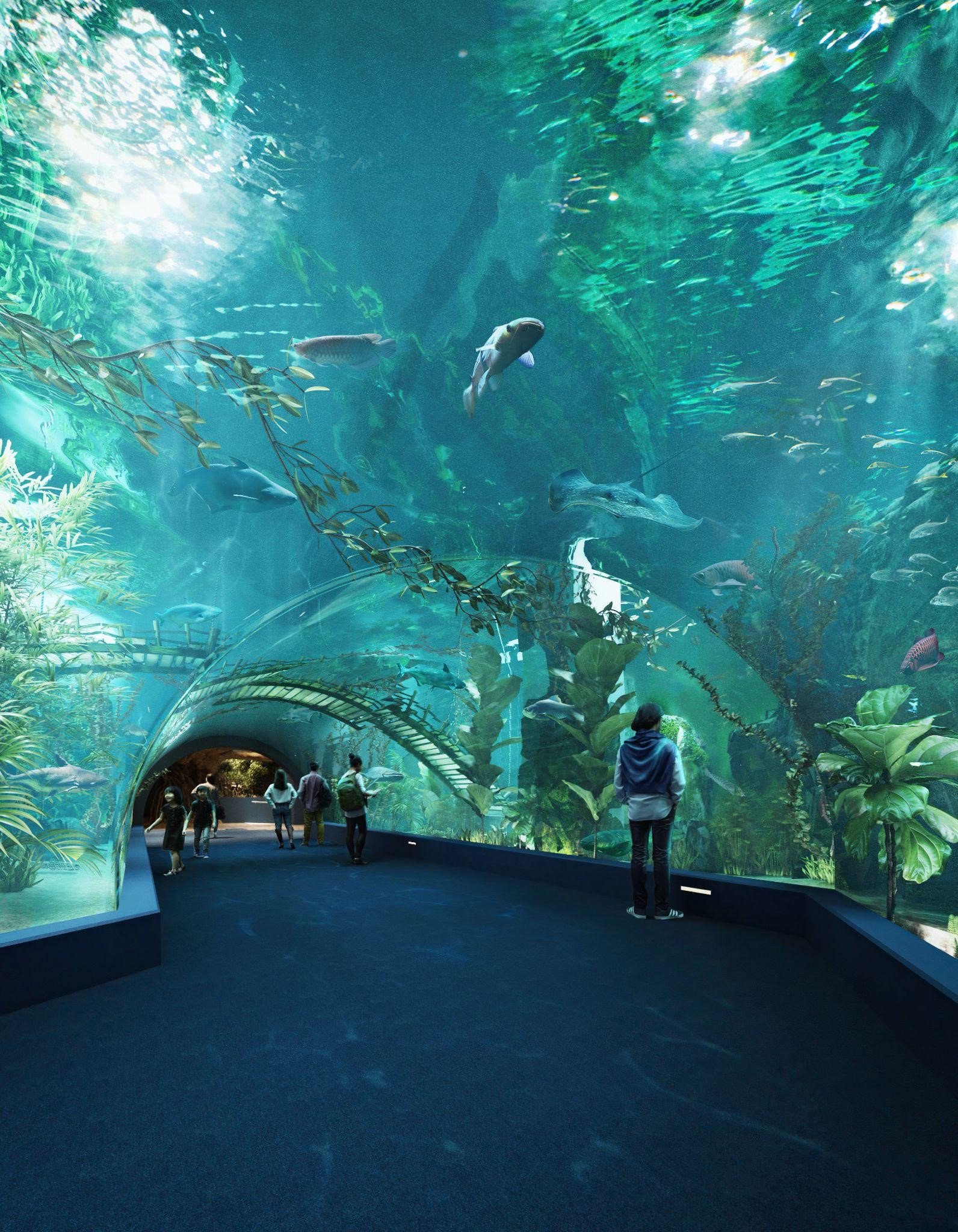 Thủy cung Lotte World Hà Nội – Thế giới đại dương đầy màu sắc sắp khai trương giữa lòng Thủ đô - 3