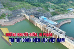 Chi tiết những khuyết điểm, vi phạm tại Tập đoàn Điện lực Việt Nam