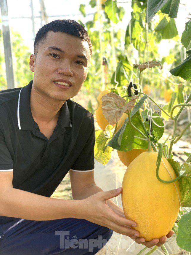 Chàng kỹ sư điện 9x về quê trồng dưa lưới, thành công ngay lần đầu khởi nghiệp - 2