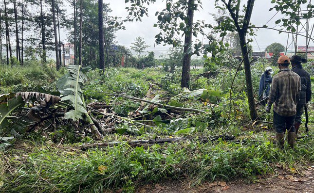 Lâm Đồng: Tháo dỡ loạt công trình ‘mọc’ trái phép trong rừng cộng đồng - 4
