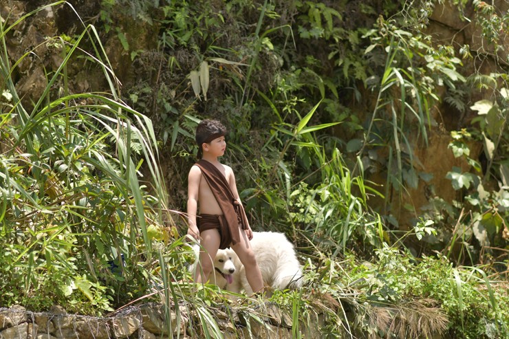 Đầu tư tiền tỷ, phim chưa thể ra mắt khiến đạo diễn Việt vướng nợ nần - 2
