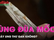 Sức khỏe đời sống - Dùng đũa mốc có gây ung thư gan?