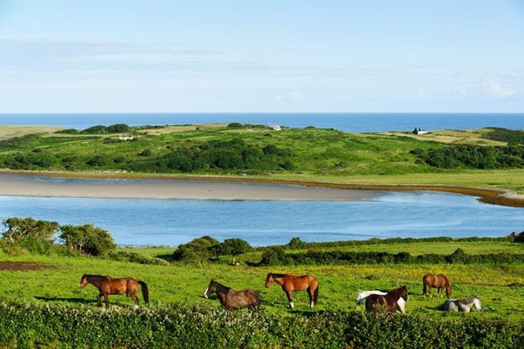 Ballymote, Ireland: Ballymote, ngôi làng lịch sử của Ireland có rất nhiều tàn tích ấn tượng, ví dụ như lâu đài Anglo-Norman được xây dựng từ năm 1300. Pháo đài hùng vĩ này vào thời điểm đó là tòa thành vững chắc nhất ở Connacht. Cách đó một quãng đi bộ ngắn là Tu viện Ballymote phủ đầy dây thường xuân, cũng như các quán cà phê cổ kính đẹp như những viên ngọc quý chưa được khám phá.
