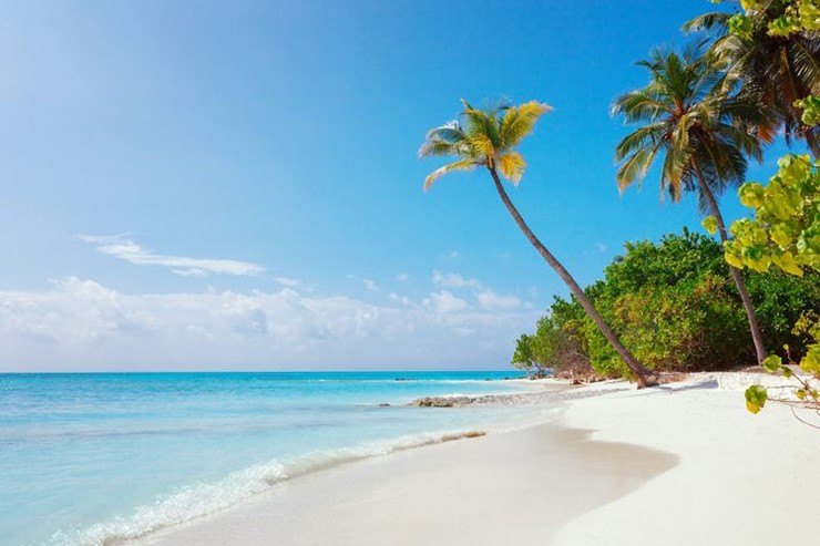 Fulhadhoo, Maldives: Fulhadhoo là một hòn đảo nằm giữa Ấn Độ Dương quyến rũ. Đây là nơi lý tưởng cho những ai muốn tới&nbsp;những bãi biển trong xanh, được bao quanh bởi cây cọ, rạn san hô, các loại cá nhiều màu sắc và các sinh vật biển khác...
