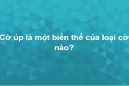 Bộ câu đố thử thách bạn trả lời đúng toàn bộ trong 10 phút