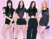 Nhạc - Tiền bản quyền hai đêm nhạc BLACKPINK tại Hà Nội lên đến gần 11 tỷ đồng