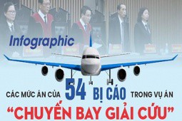 Infographic: Mức án 54 bị cáo ”chuyến bay giải cứu” khác với đề nghị của VKSND thế nào?