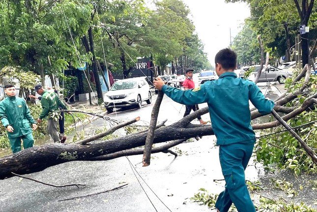 Lực lượng chức năng di dời cây xanh gãy đổ trên địa bàn phường Phú Mỹ (thành phố Thủ Dầu Một, tỉnh Bình Dương)