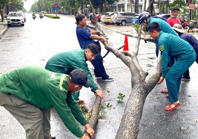 Cây xanh bên đường Huỳnh Văn Lũy, Hùng Vương (thành phố Thủ Dầu Một) bị gãy đổ sau cơn mưa dông.