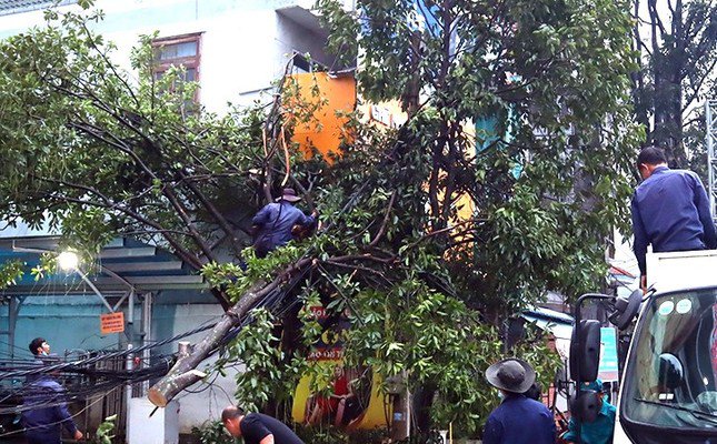 Tại xã Đoàn Kết (huyện Bù Đăng) mưa lớn làm ngập khoảng 35 ha lúa. Các nhà dân dọc suối Đắk Woa cũng bị nước tràn vào, ngập từ 1-1,5m, có khu vực ngập sâu đến 2m. Trong khi đó, tại xã Bình Minh (huyện Bù Đăng) trên tuyến đường ĐT 760, đoạn qua khu vực ngã ba Trà, mưa lớn gây ngập cục bộ. Tổng thiệt hại ước tính sơ bộ khoảng hơn 600 triệu đồng. Đại diện lãnh đạo UBND huyện Bù Đăng cho biết, lực lượng chức năng được huy động để hỗ trợ di dời đồ đạc, con người đến nơi an toàn. Sau khi nước rút, lực lượng chức năng tiến hành dọn dẹp bùn đất, nhất là rác thải còn ứ đọng, đồng thời giúp bà con sắp xếp lại vật dụng trong nhà, khơi thông cống.