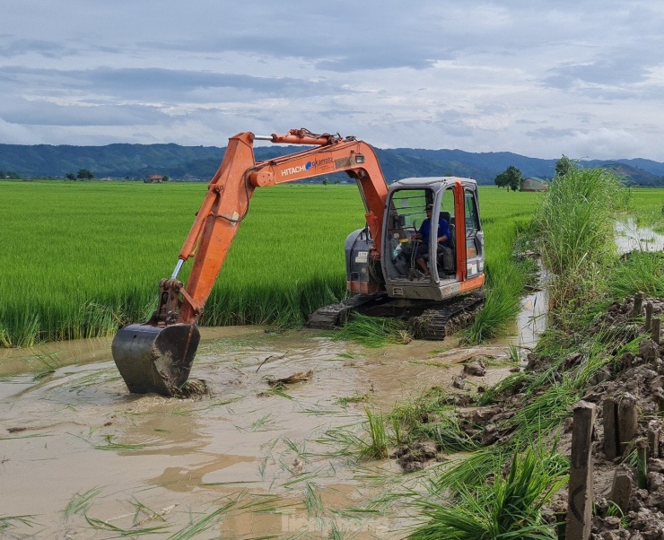 Theo UBND huyện Lắk, mưa lớn đã gây ngập hơn 750 ha lúa trên địa bàn. Trong đó xã Buôn Triết bị nặng nhất với trên 320 ha, xã Đắk Liêng 268 ha, xã Buôn Tría 106 ha. Người dân phải múc đất ở ruộng lúa để đắp chắn những đoạn đê thấp.