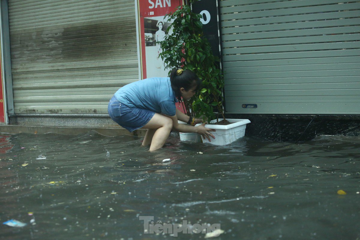 Người dân giữ cho cây khỏi đổ giữa "biển nước"