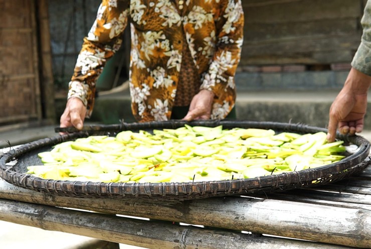 Có nghiên cứu cho rằng&nbsp;cây tai chua có tác dụng trong việc hỗ trợ điều trị nhiều bệnh như trầm cảm, giảm mỡ máu, giảm cân, tiểu đường…
