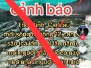 Tin tức trong ngày - Sự thật về thông tin 12 con cá sấu sổng chuồng ở Cà Mau