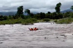 CLIP: Hai em nhỏ bám cành cây, thoát chết giữa dòng nước lũ