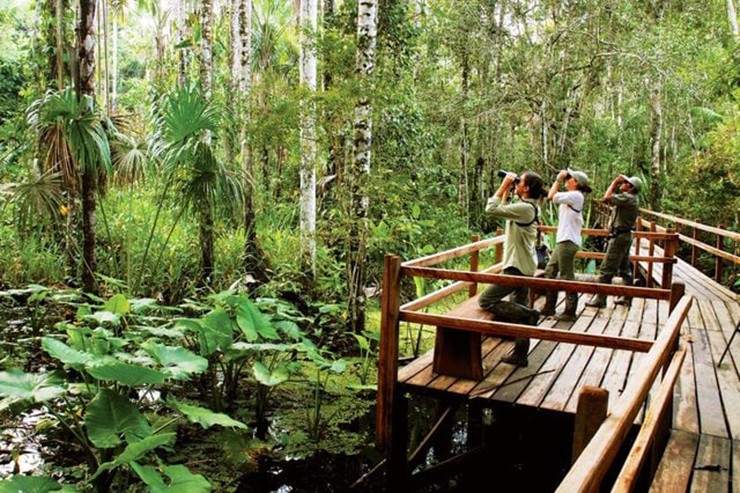 Vùng Tambopata, Peru: Để có trải nghiệm một lần trong đời ở rừng nhiệt đới Amazon của Nam Mỹ, hãy ghé thăm Inkaterra Reserva Amazonica, một nhà nghỉ sinh thái sang trọng. Nơi đây tổ chức nhiều&nbsp;chuyến du ngoạn dành cho những người đam mê phiêu lưu, bao gồm chèo thuyền kayak trên Madre de Dios, đi bộ đường dài xuyên rừng nhiệt đới, trong đó du khách có thể mong đợi được nhìn thấy các loài động vật kỳ lạ như trăn anacondas, nhện tarantula và báo đốm…
