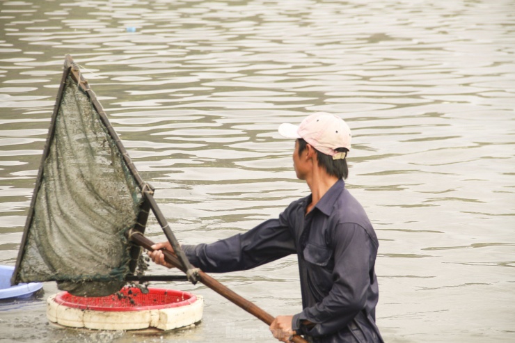 Mưu sinh bằng nghề cào hến trong lòng hồ ở dự án khu đô thị nghìn tỷ - 2